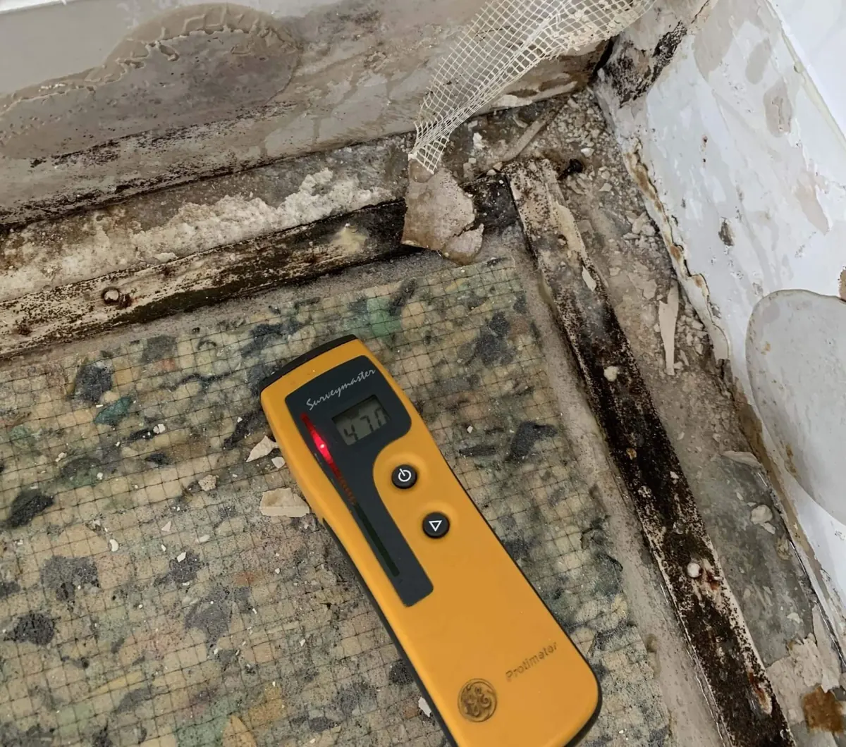 Moisture meter reading on a wet carpet pad and tack strip after a water loss, with water-stained baseboard and drywall