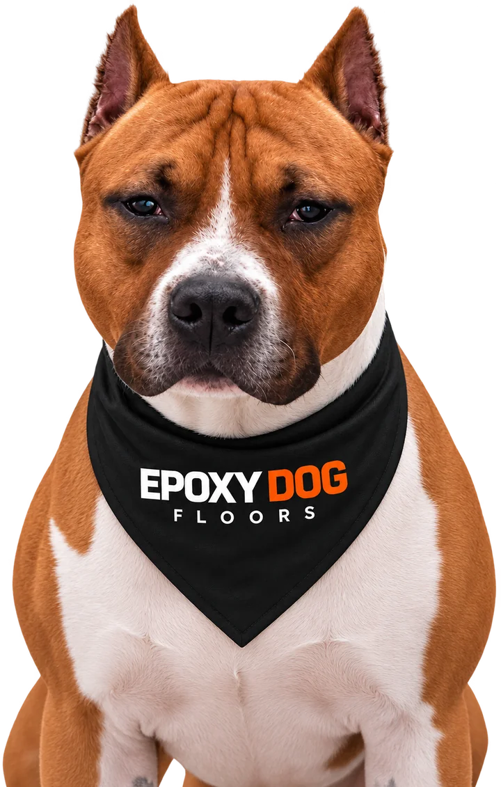 Mascota de Epoxy Dog con su pañoleta de Epoxy Dog